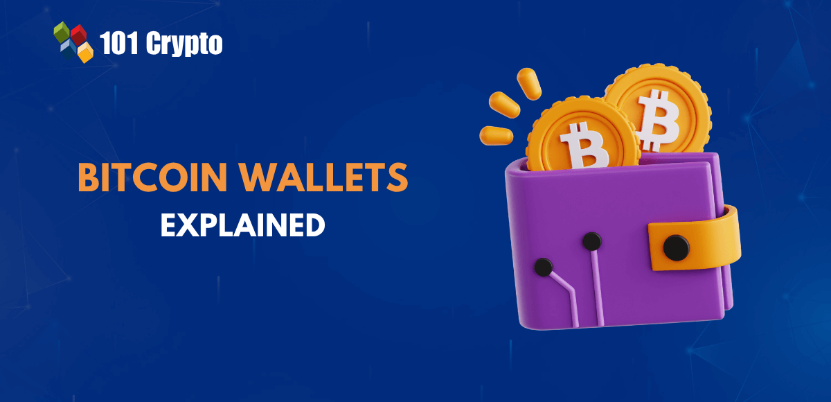 bitcoin hot vs cold wallet storage