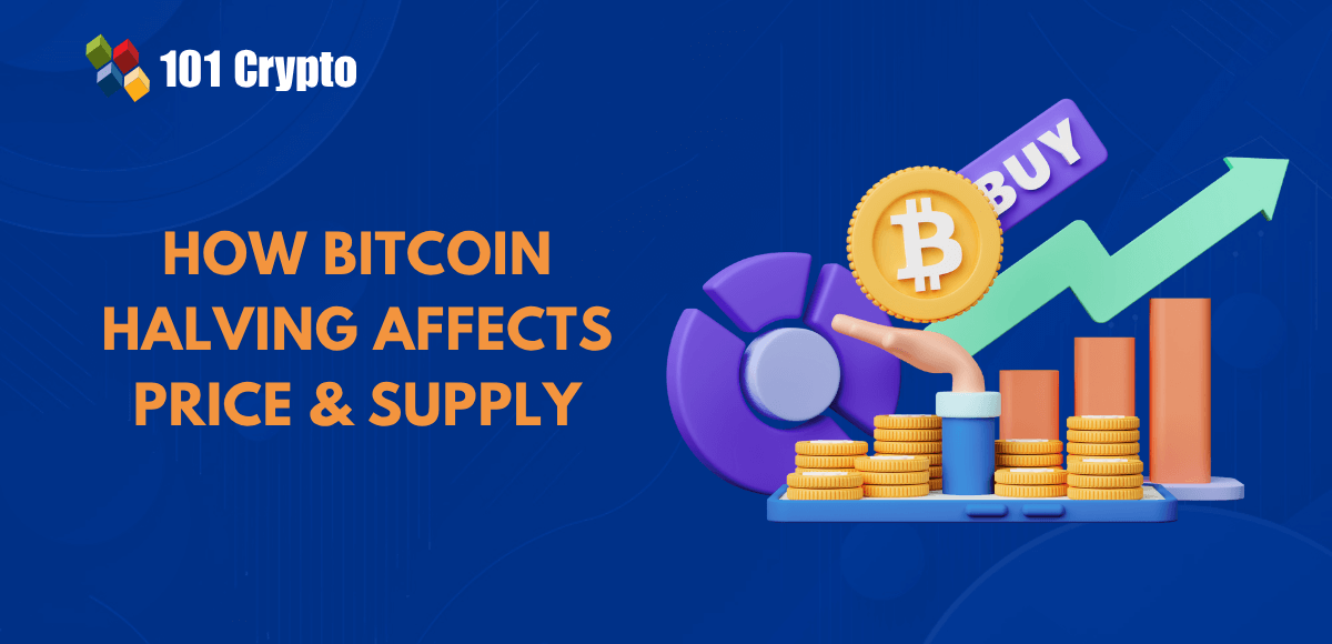 effect of bitcoin halving on price